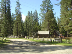 Yosemite - Wawona
