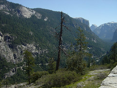 Yosemite - Look into the Valley