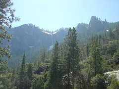 Yosemite - Mountain and Forest