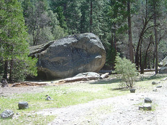 Yosemite - Rock