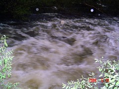 Isinglass River