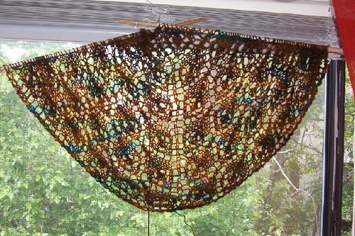 obligatory window shot of flower basket shawl