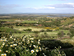 view from Monsaraz (Portugal), 21-Apr-06