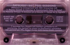 Datblygu - Peel Sessions