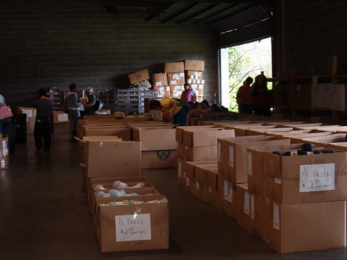 Boxes upon boxes of yarn