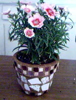 Pink Flowerpot