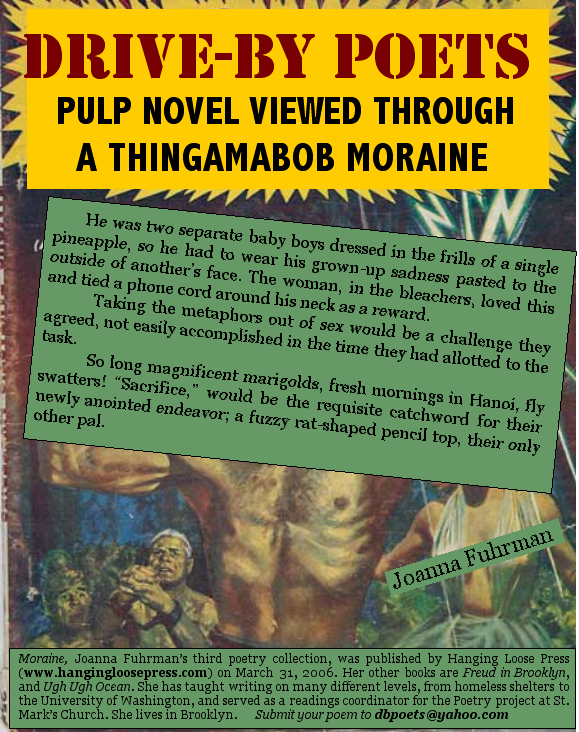 Pulp Novel Viewed Through A Thingamabob Moraine by Joanna Fuhrman