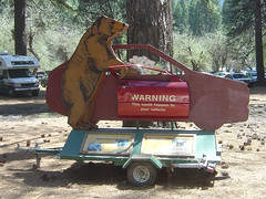 Yosemite - Bear Warning