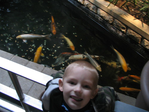 colton and the goldfish