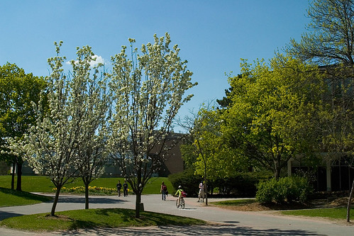 Center of Campus