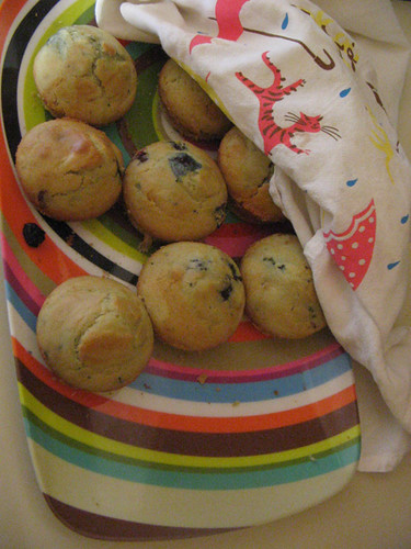 hugh's blueberry muffins
