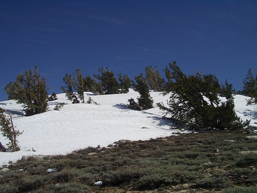 snow valley peak (9,200ft)