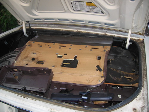 Junk in the trunk