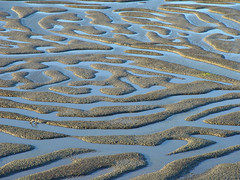 Marshes patterns