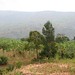 Rwanda Country