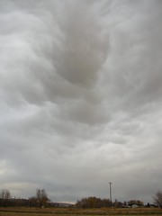 Mammatus Clouds?