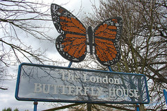 The London Butterfly House