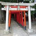 Shinagawa Shrine - Torii
