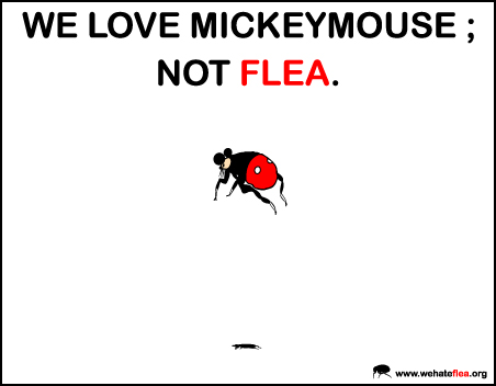 I hate fleas