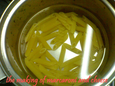 the-making-of-marcaroni-and