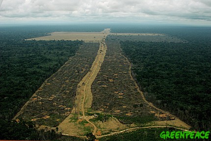 270406-deforestacion
