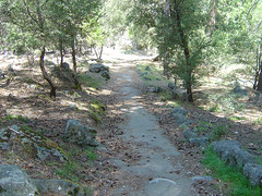 Yosemite - Paved Trail