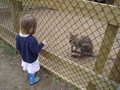As always, click on the pic for more photos from our day at the zoo...
