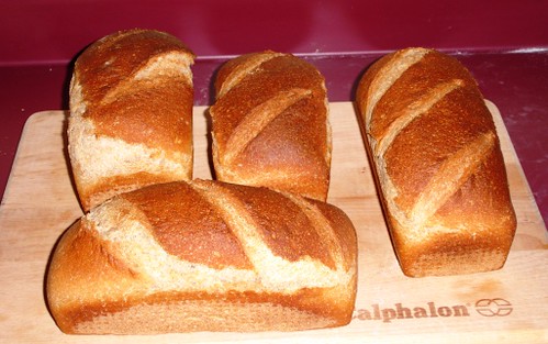 Bread image