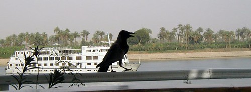 Le long du Nil