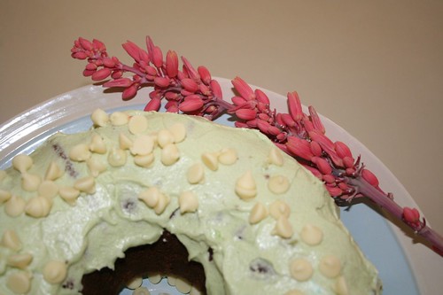 Pistachio bundt cake 3