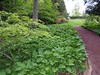 Path to the formal Garden