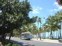 Kuhio Beach - Trolley