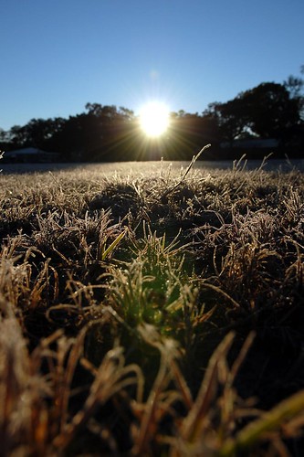 Frosty Tampa Morning