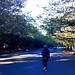 Walking in Ueno Park. One of the most tranquil moments I've ever felt. - Rudy Faber, Malaysia