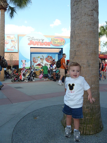Walt Disney World (March 2011)