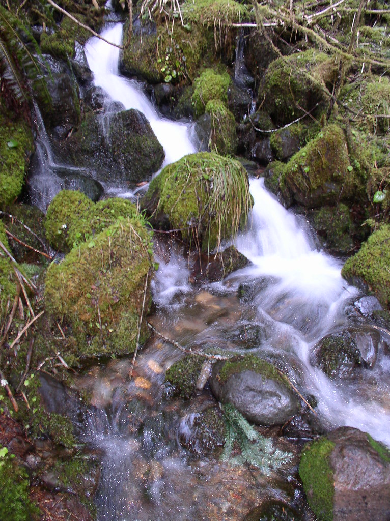 Small creek near Mt Rainier National Park