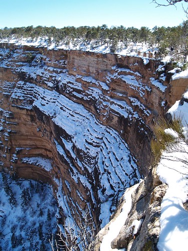 Grand Canyon with Snow