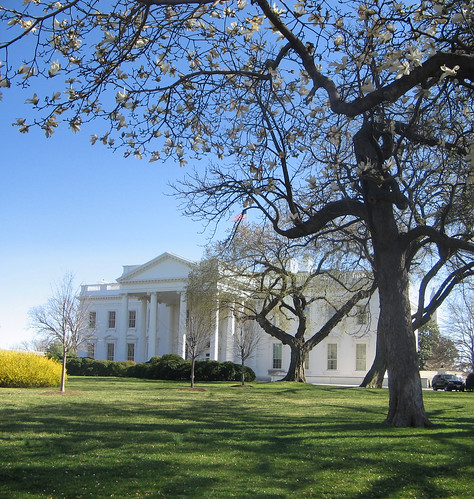 White House and Blossoms