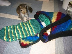 Baby Squirrel with Sock WIP
