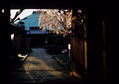 Chohonji 長遠寺