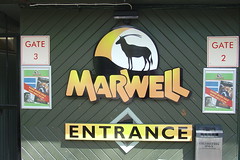 Marwell Zoo #1