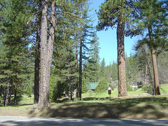 Yosemite - Wawona