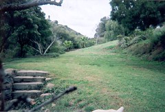 Eucalyptus Park