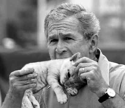 Bush eats cat