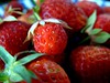 Alpie garden strawberries today
