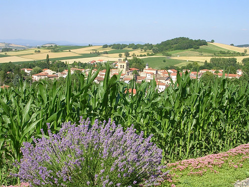 Lavendeldoft över Saint-Julien-de-Coppel
