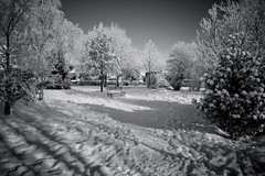 Keyingham under snow-0843