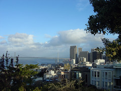 Financial District - from lower Coit Tower