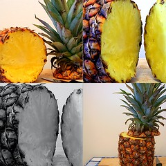 Pineapple Collage