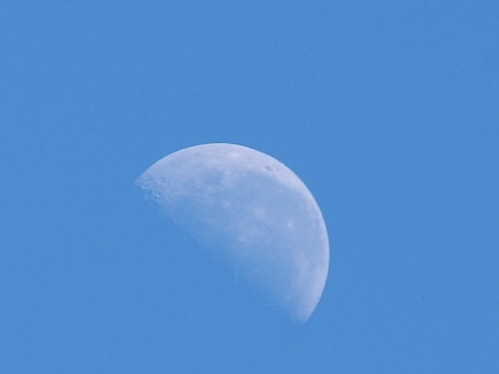 morning moon today